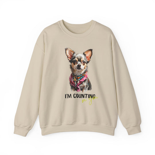 Stylish Sidekick Sweatshirt - I'M COUNTING ON YOU