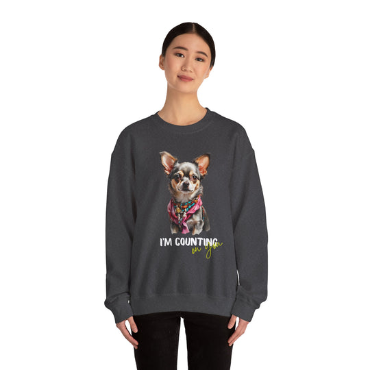 Stylish Sidekick Sweatshirt - I'M COUNTING ON YOU