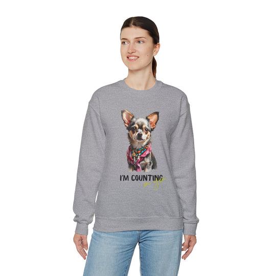 Stylish Sidekick Sweatshirt - I'M COUNTING ON YOU