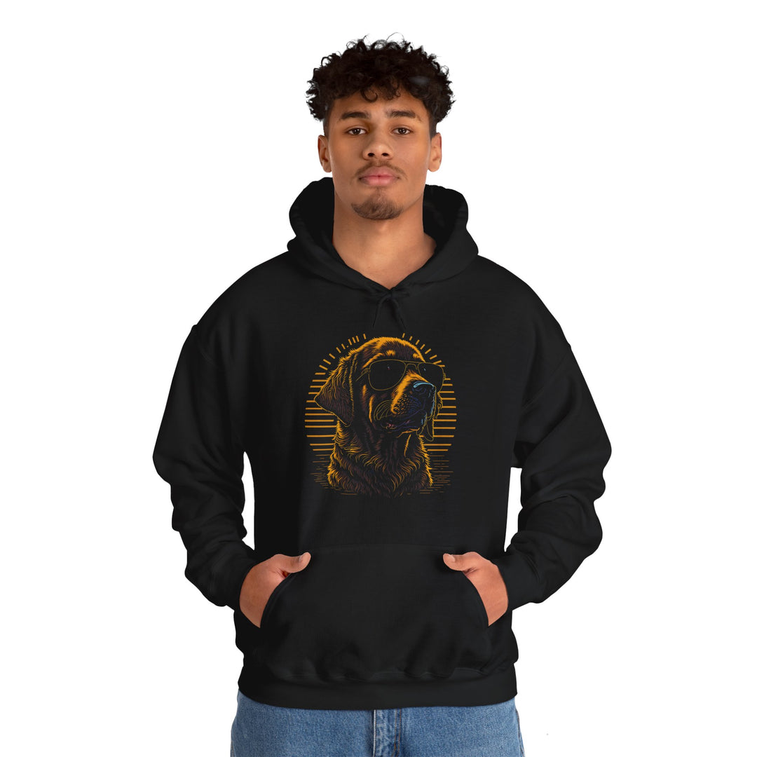 Golden Hour Sunglasses Dog Hoodie - Bask in Style