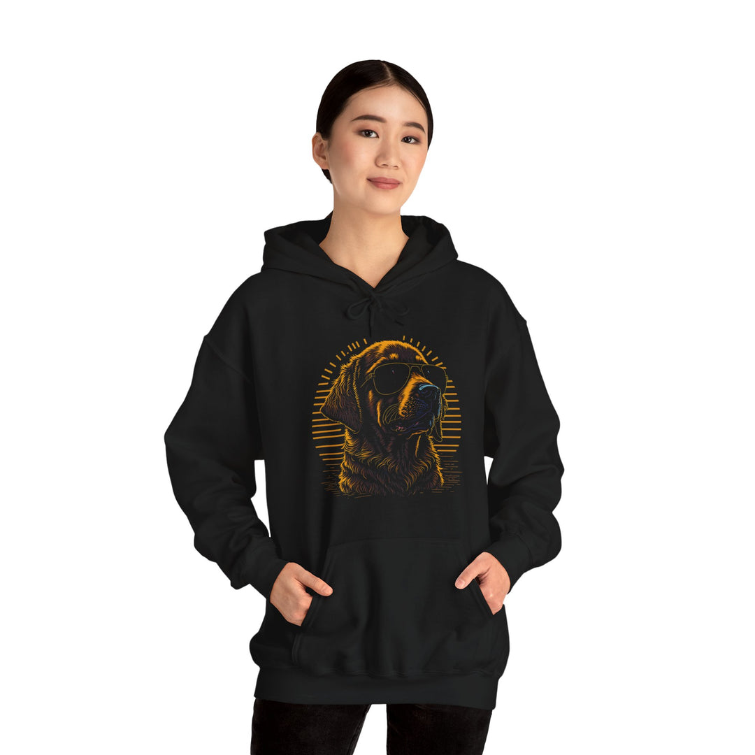 Golden Hour Sunglasses Dog Hoodie - Bask in Style