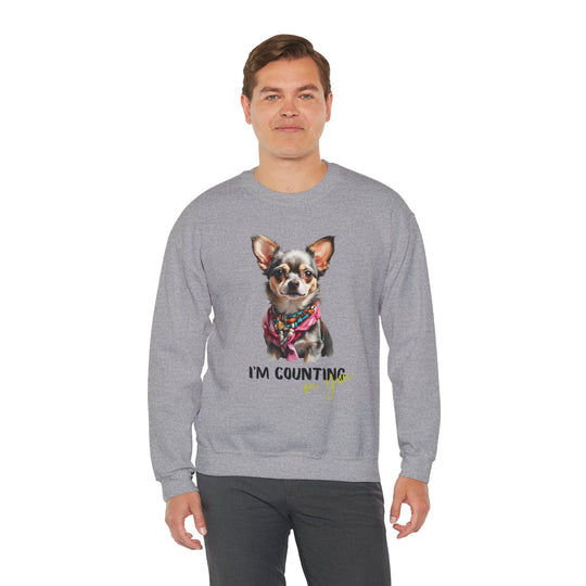 Stylish Sidekick Sweatshirt - I'M COUNTING ON YOU