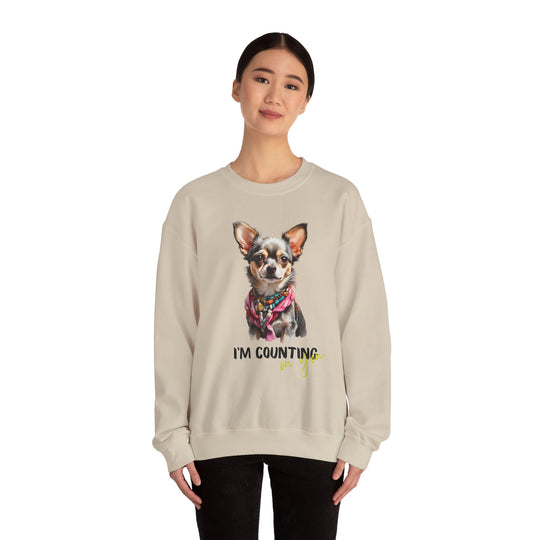 Stylish Sidekick Sweatshirt - I'M COUNTING ON YOU