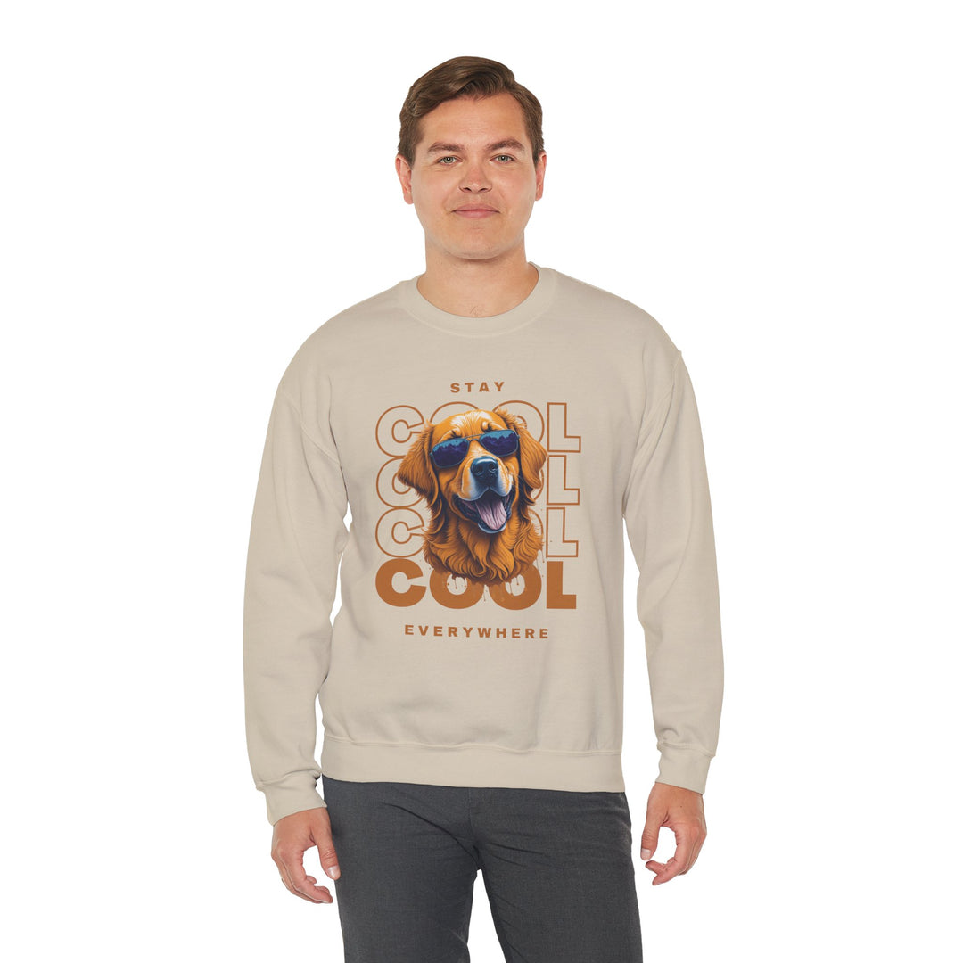 Stay Cool Everywhere Dog Sweatshirt - Keep it Cool