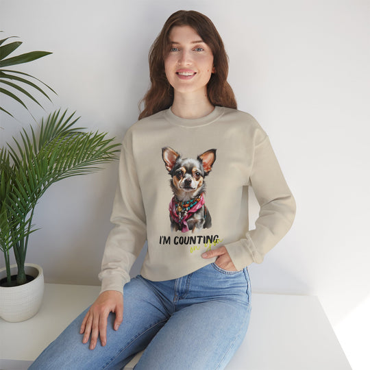 Stylish Sidekick Sweatshirt - I'M COUNTING ON YOU