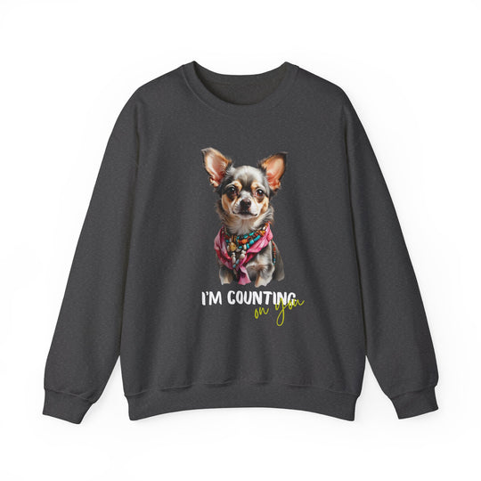 Stylish Sidekick Sweatshirt - I'M COUNTING ON YOU