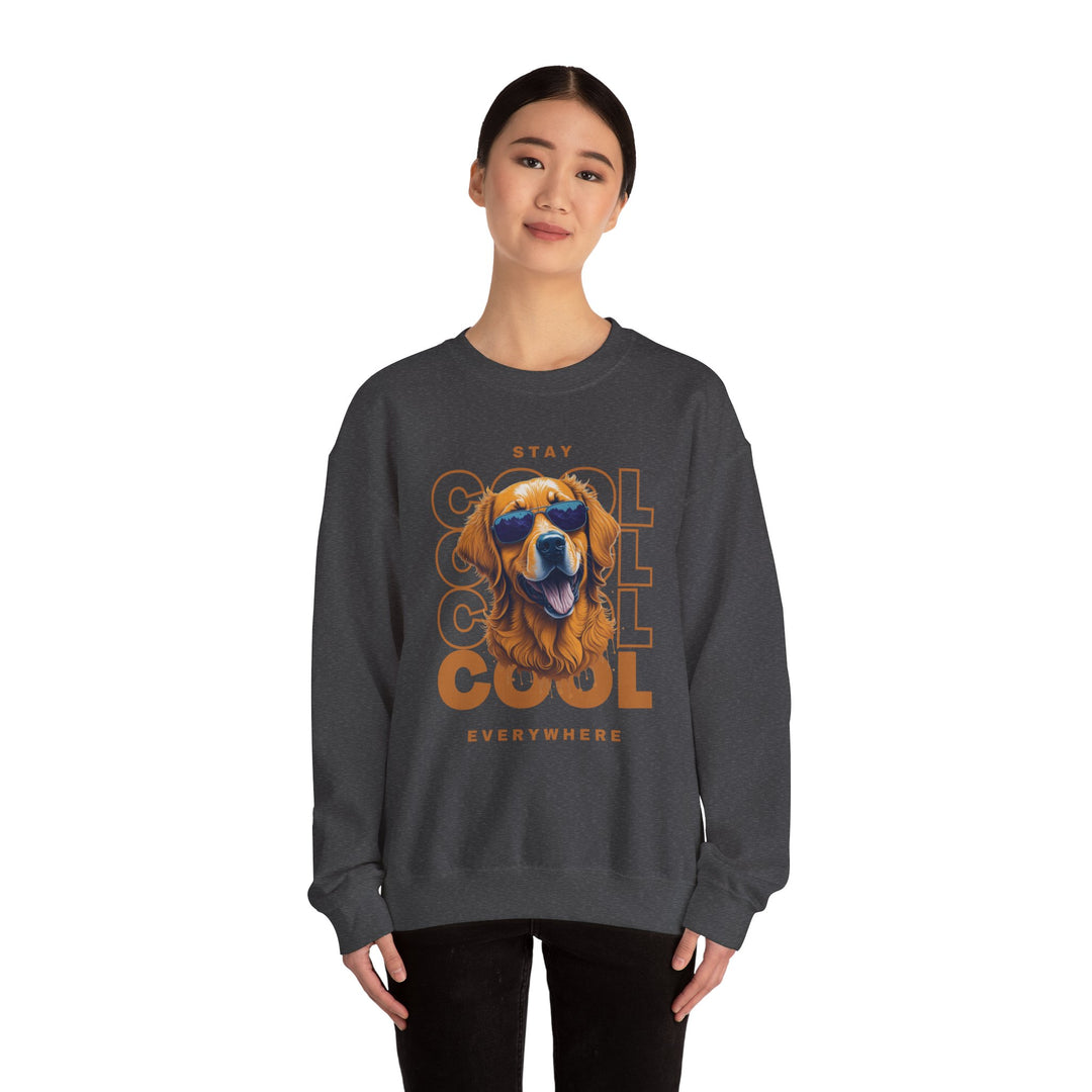 Stay Cool Everywhere Dog Sweatshirt - Keep it Cool