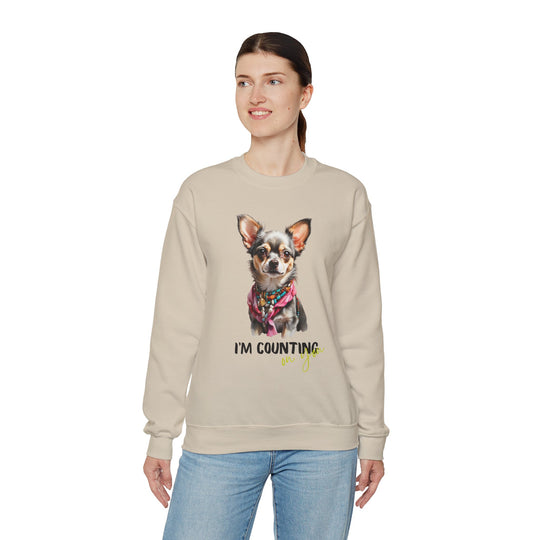 Stylish Sidekick Sweatshirt - I'M COUNTING ON YOU