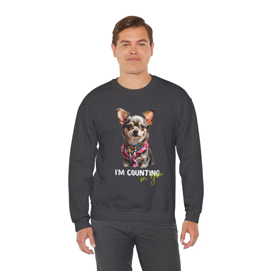 Stylish Sidekick Sweatshirt - I'M COUNTING ON YOU