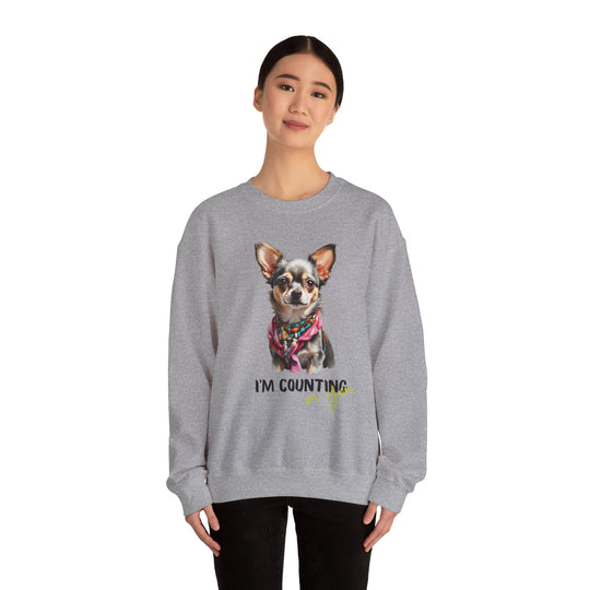 Stylish Sidekick Sweatshirt - I'M COUNTING ON YOU