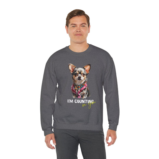 Stylish Sidekick Sweatshirt - I'M COUNTING ON YOU