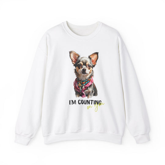 Stylish Sidekick Sweatshirt - I'M COUNTING ON YOU