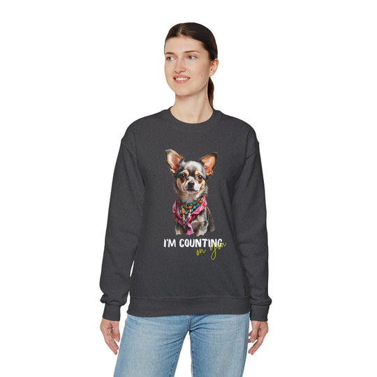 Stylish Sidekick Sweatshirt - I'M COUNTING ON YOU