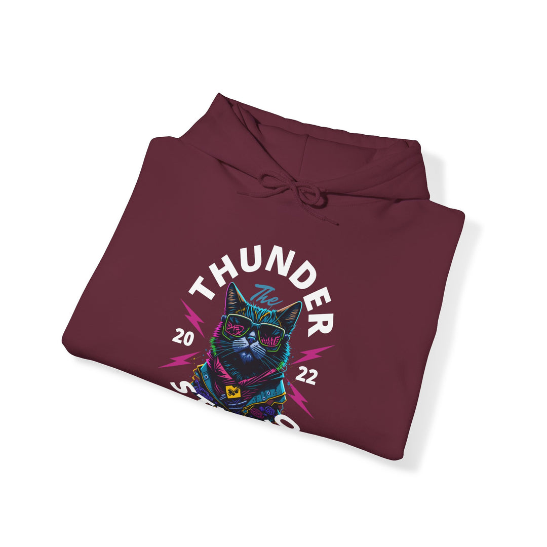 Thunder Studio Cat Hoodie - DJ Cat Vibe