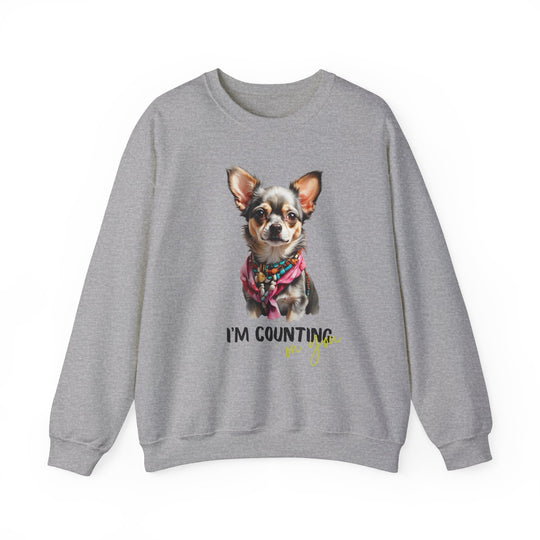 Stylish Sidekick Sweatshirt - I'M COUNTING ON YOU