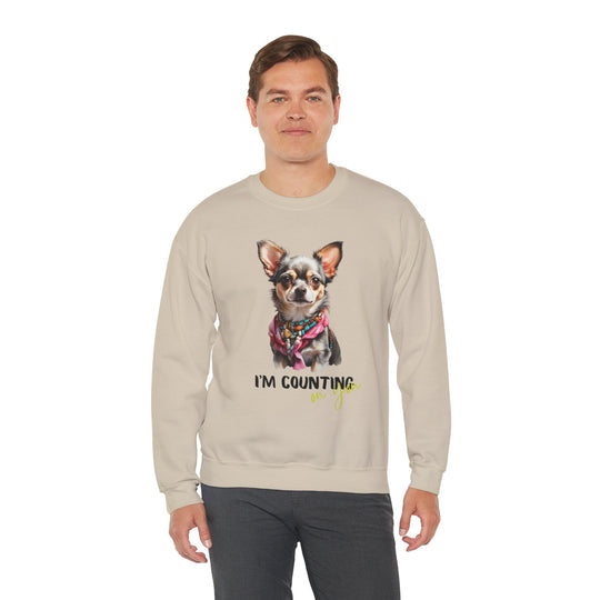 Stylish Sidekick Sweatshirt - I'M COUNTING ON YOU