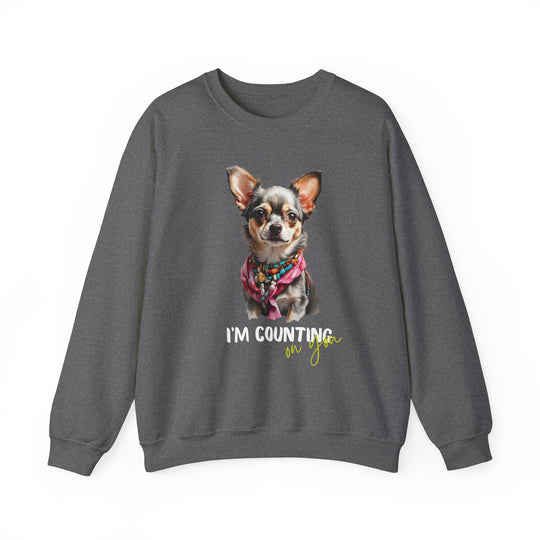 Stylish Sidekick Sweatshirt - I'M COUNTING ON YOU