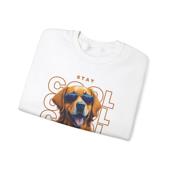 Stay Cool Everywhere Dog Sweatshirt - Keep it Cool